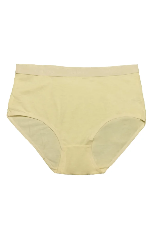 Poly Cotton Panty Full Cover