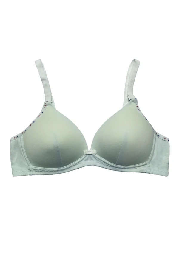 Seamless T-Shirt Bra