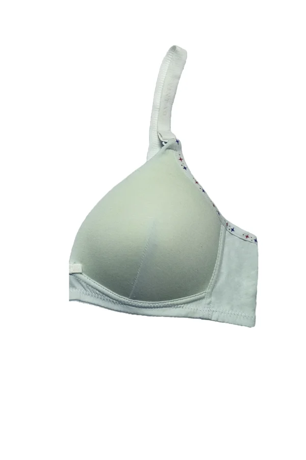 Seamless T-Shirt Bra - Image 2