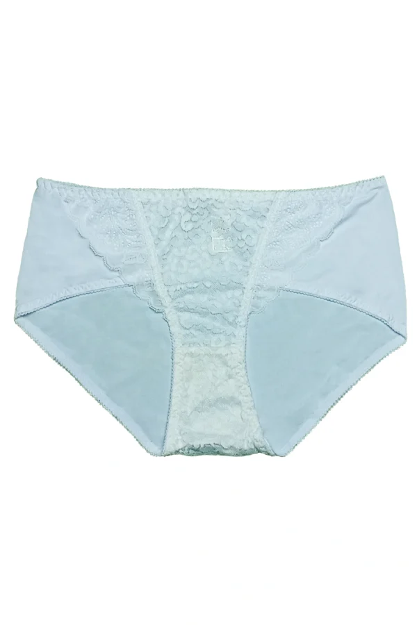 Silky Lace High-Waist Panty - Image 4