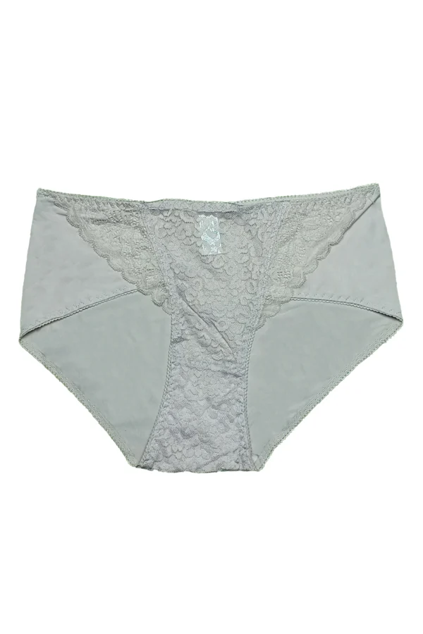 Silky Lace High-Waist Panty - Image 3