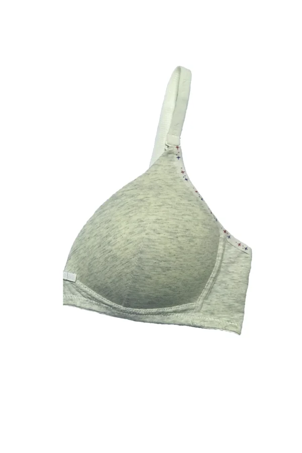 Seamless T-Shirt Bra - Ash Grey - Image 2