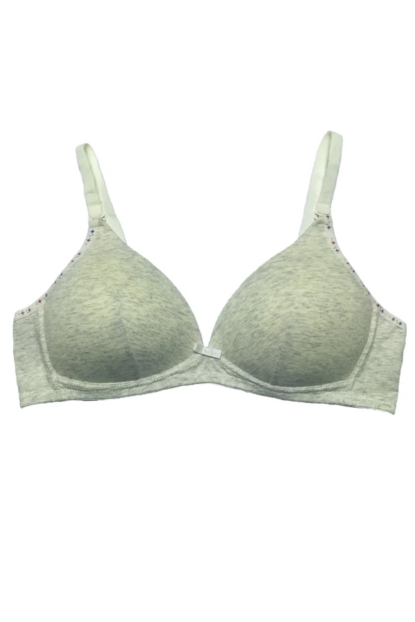 Seamless T-Shirt Bra - Ash Grey