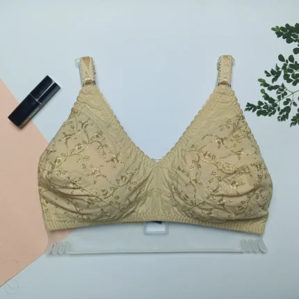 daily wear Bra