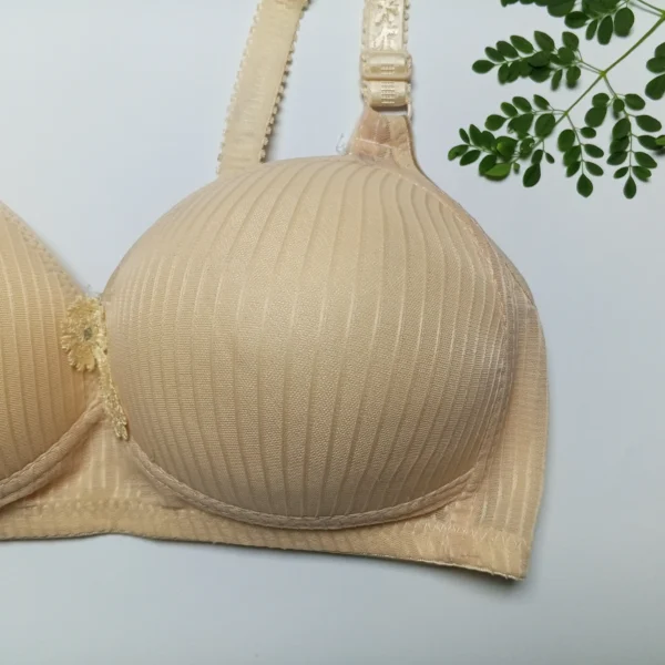 Elegant Non Wired full cup Bra EL02 - Image 5