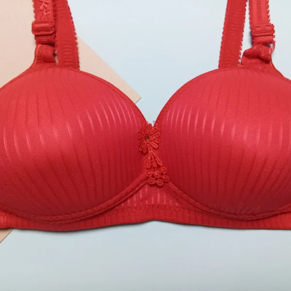 Elegant Non Wired full cup Bra EL02 - Image 8